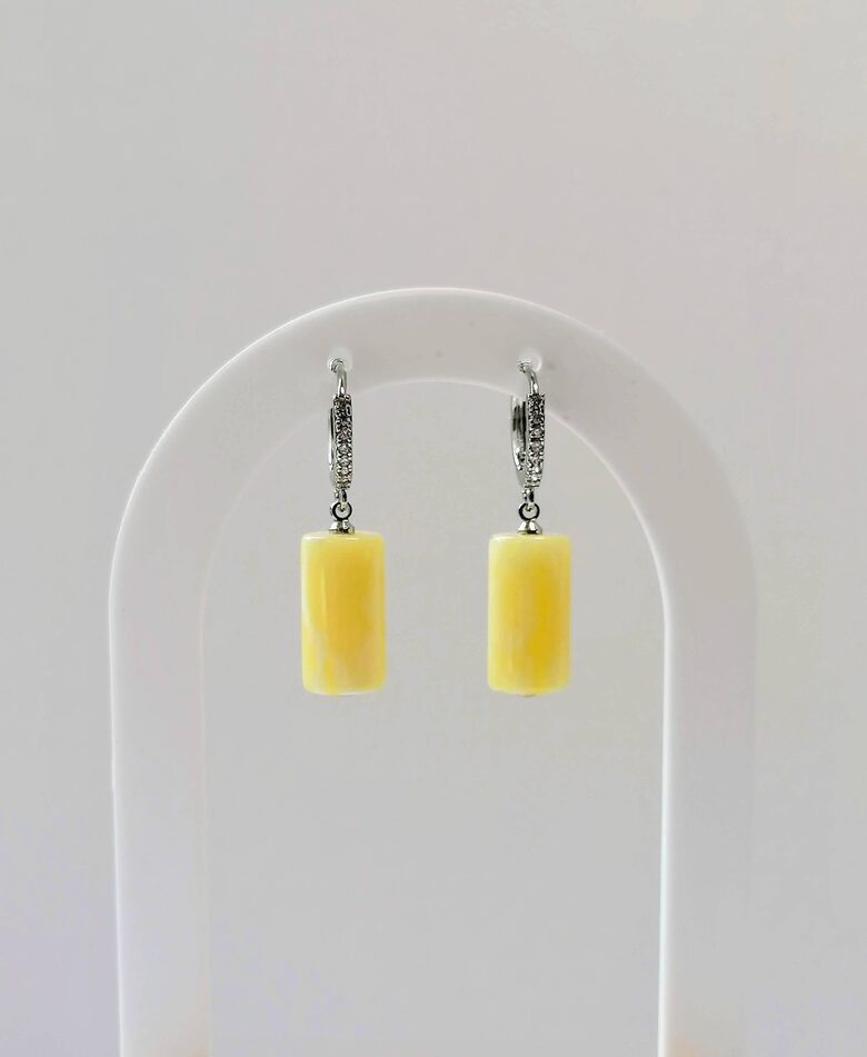 Peizažinio Baltijos gintaro auskarai | Rankų darbo