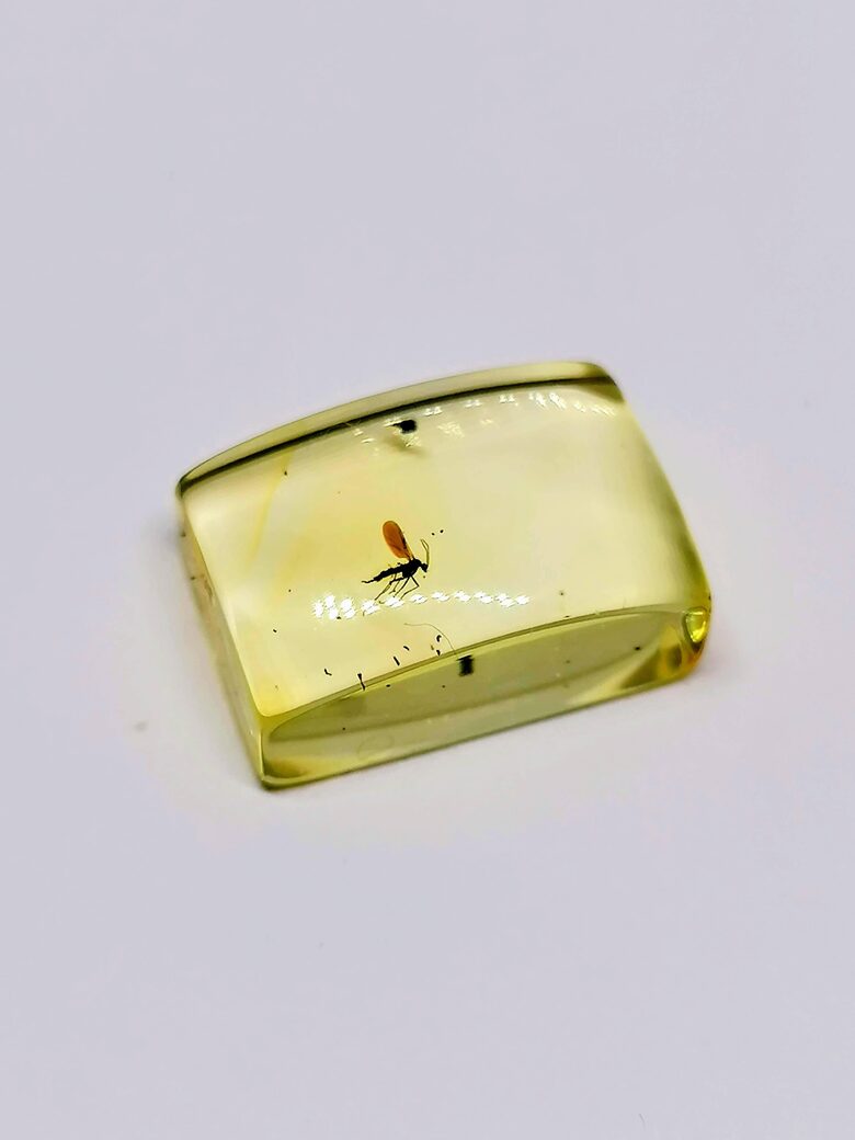 Stačiakampio formos Baltijos gintaro kabušonas su inkliuzu