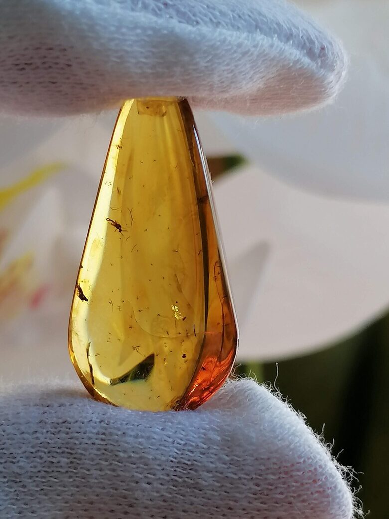 Teardrop-Shaped Baltic Amber with Inclusion – For Jewelry