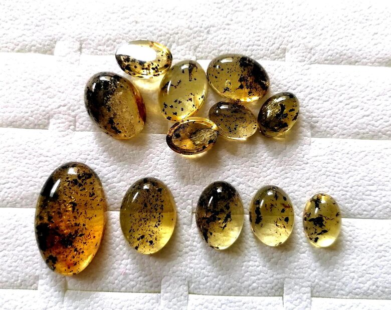 Fosilinio gintaro kalibruoti, ovalo formos kabušonai plokščiu pagrindu