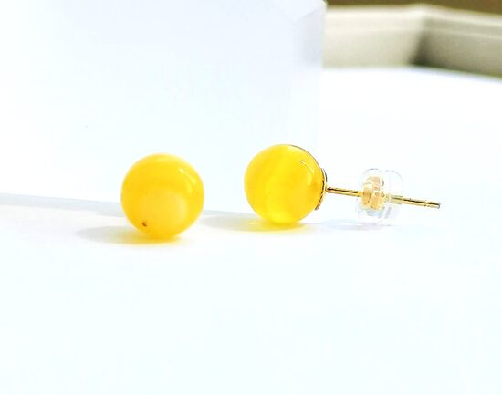 Peizažinio gintaro auskarai vinukai