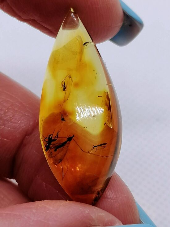 Baltic Amber Cabochon with Inclusion – Flat Back